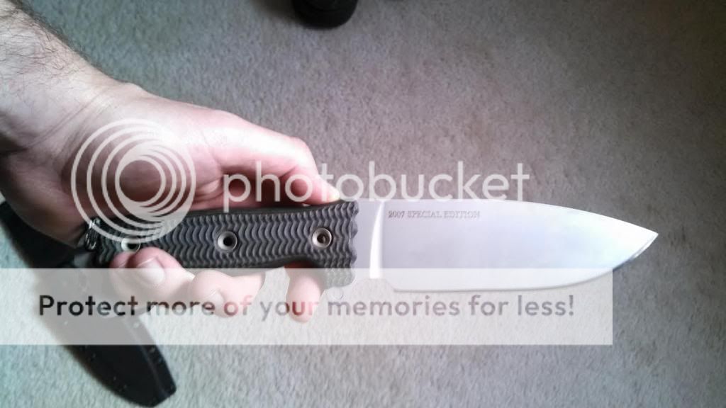 BGAsh1_zpsb3991515.jpg