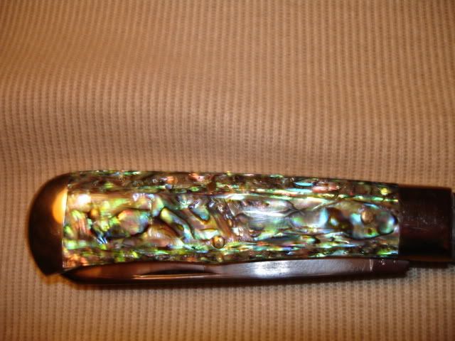 DSC01486.jpg