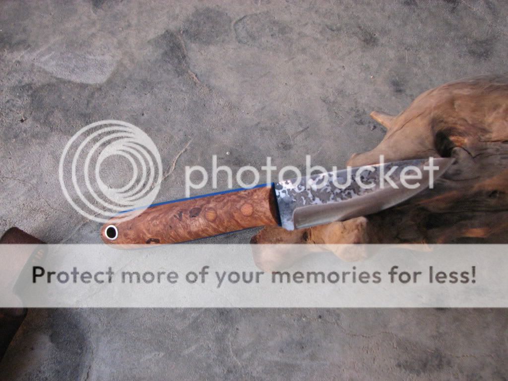 IMG_3728_zpsfd8aeaf2.jpg