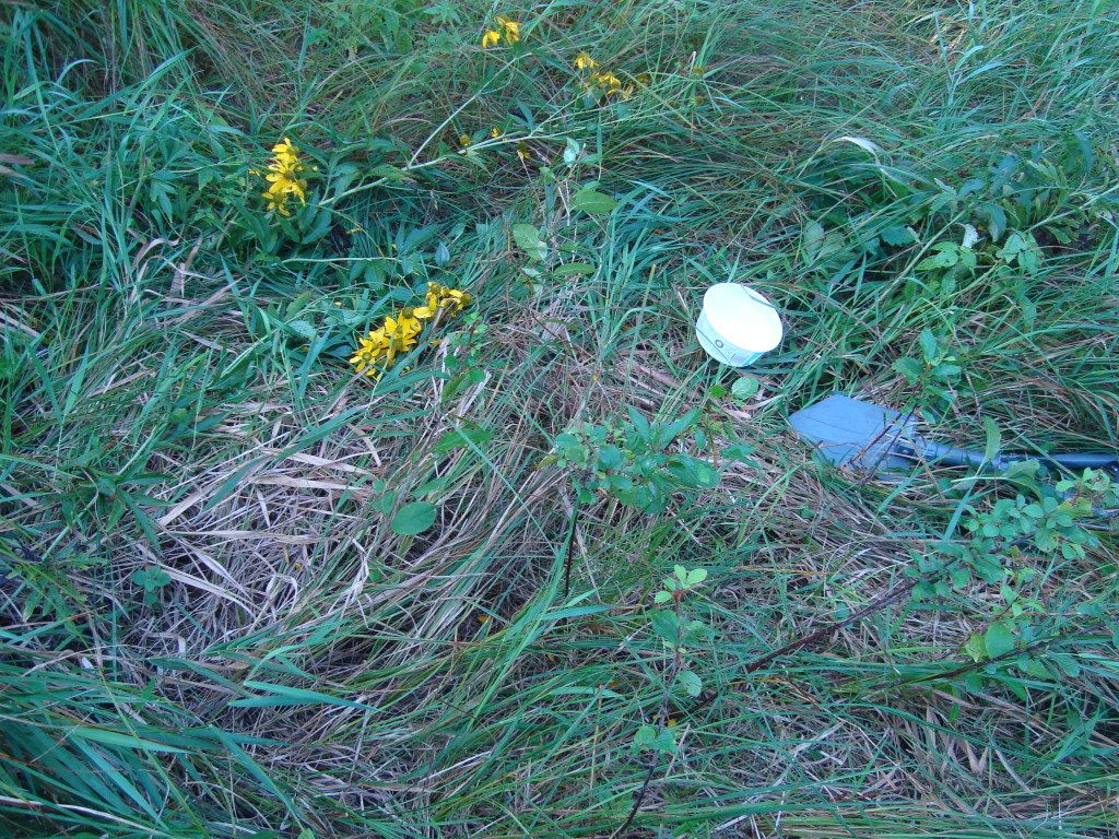 DSC05334.jpg