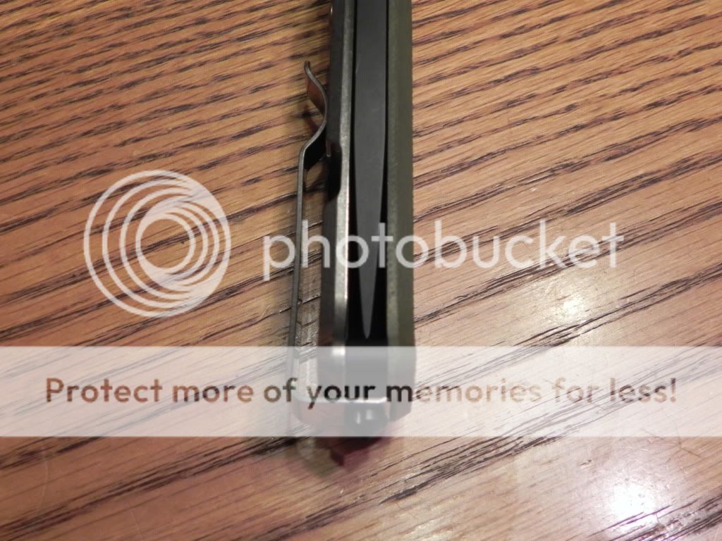 DSCN1295.jpg