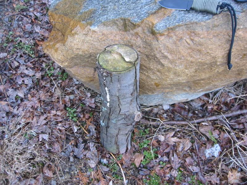 before.jpg