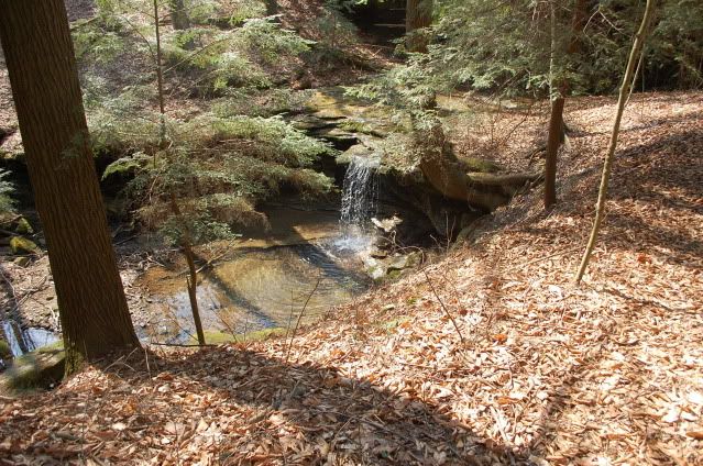 DSC_0248.jpg