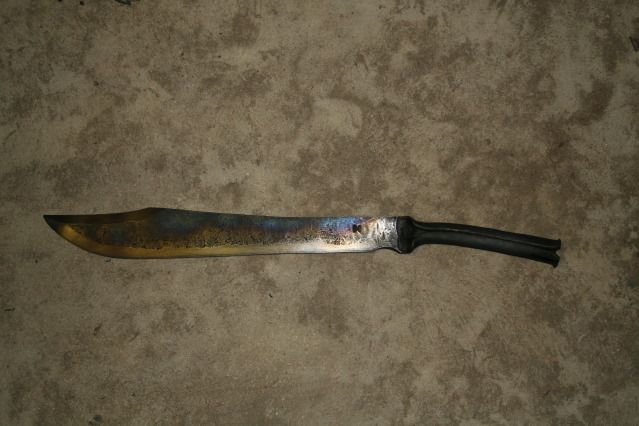 seal05.jpg