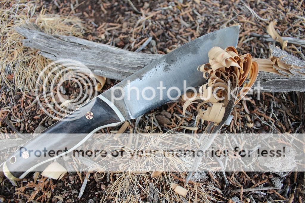 IMG_5860.jpg