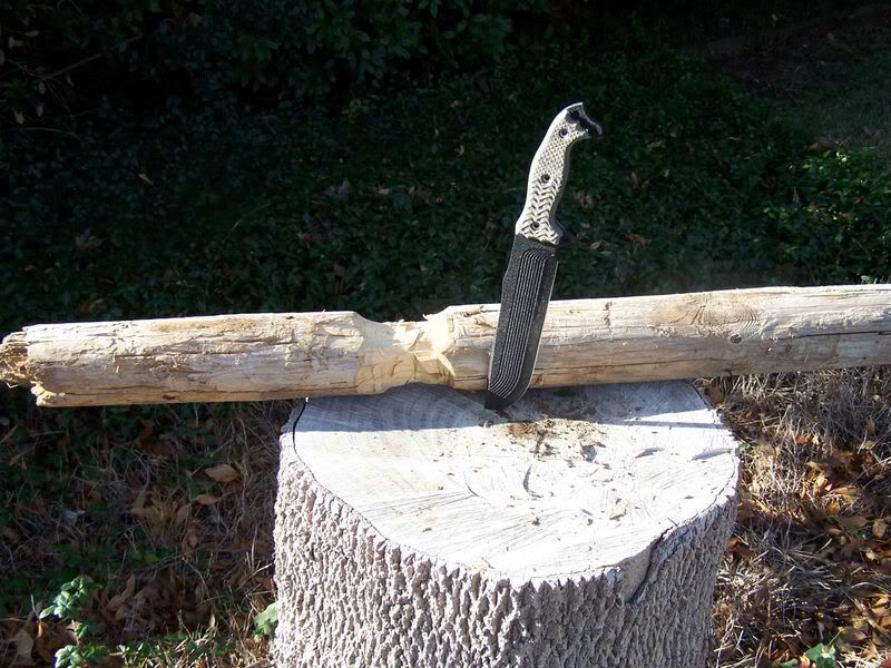 stump1.jpg
