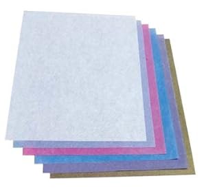 31vYCFUcaeL._SX300_.jpg
