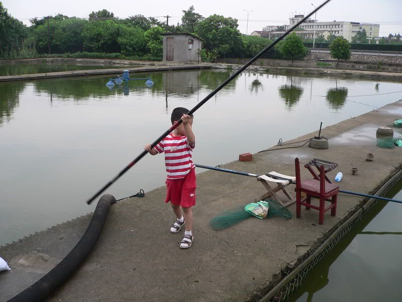 P1410390.jpg