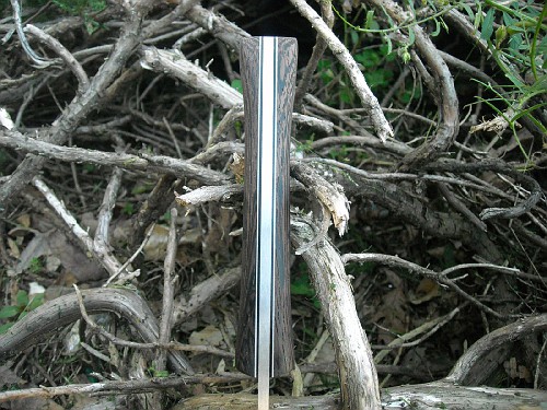 DSCN1718-vi.jpg