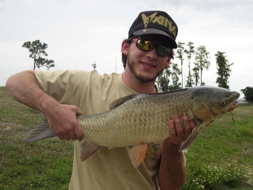 florida2012051.jpg