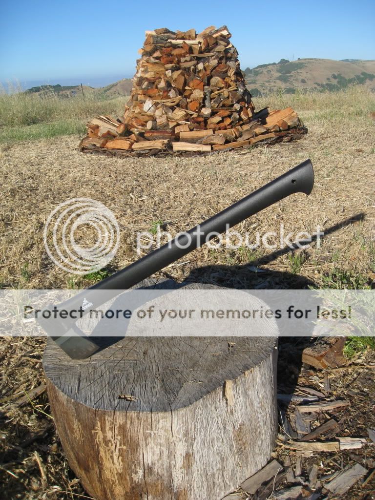 IMG_1778.jpg