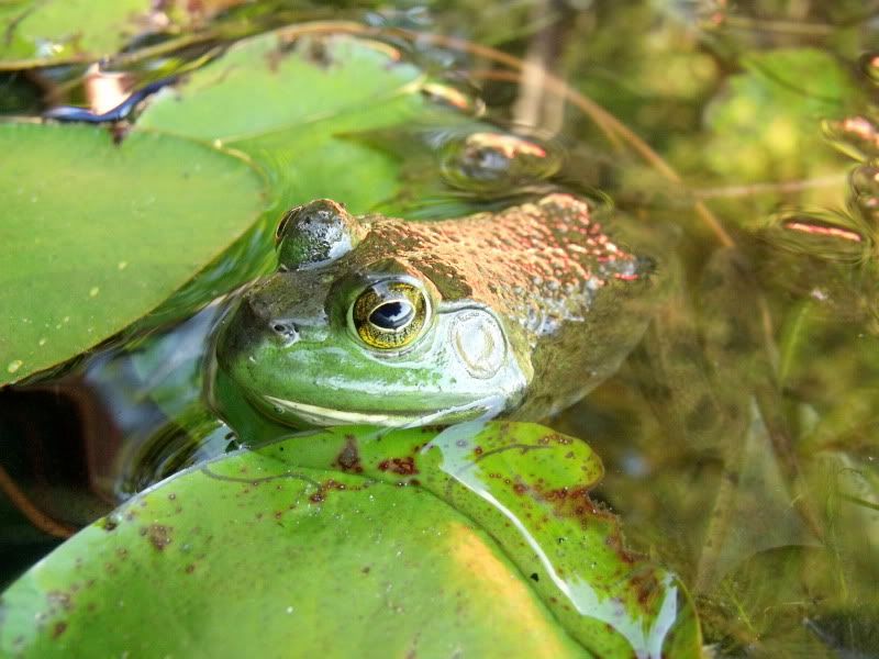 DSCF3396.jpg