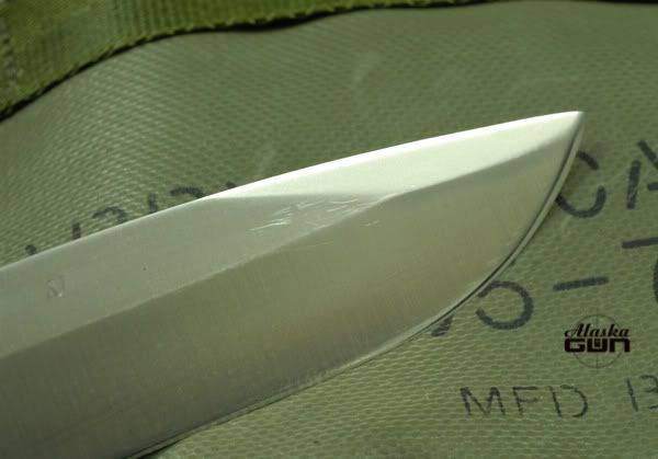Busse-ZT-SJ-2.jpg