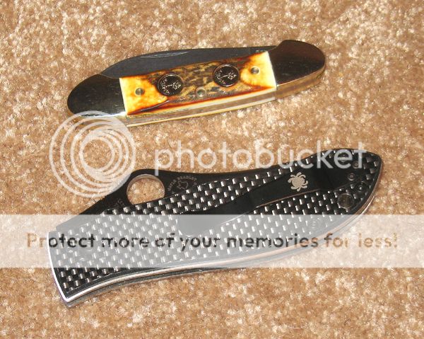 IMG_1377copy_zps2581b3ab.jpg