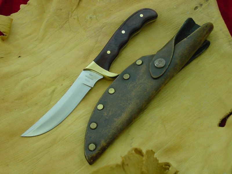 Buck184026.jpg