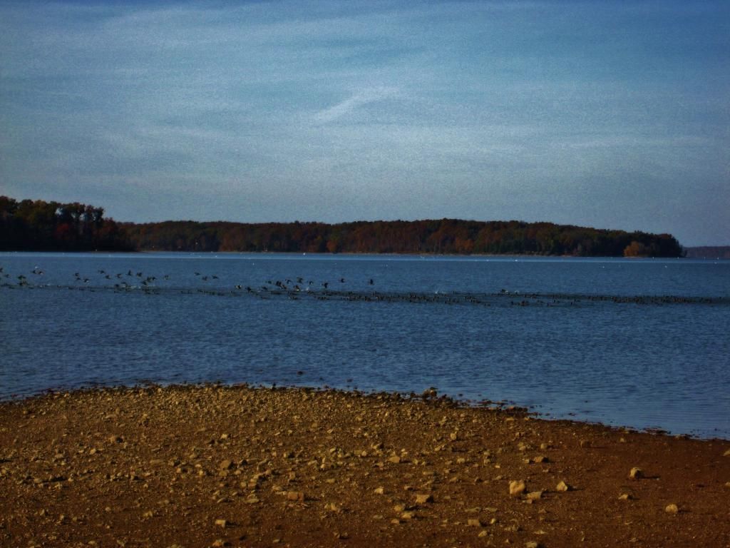 IMG_4762.jpg