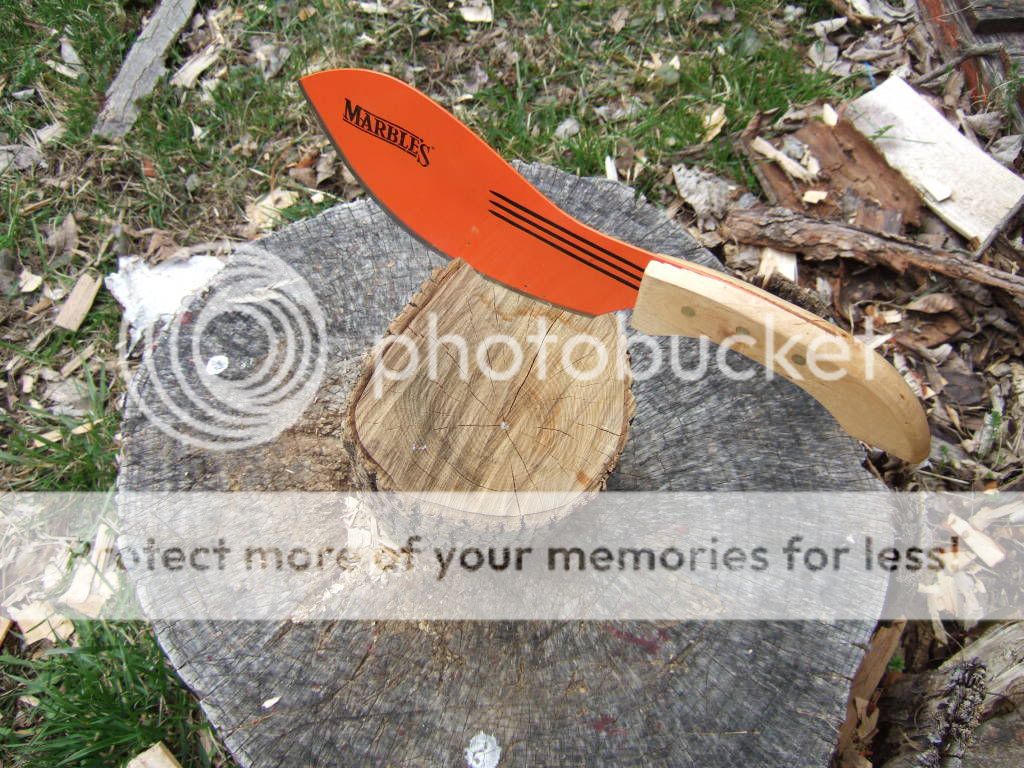 mike424.jpg