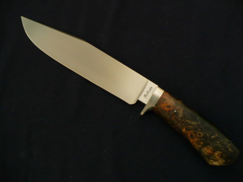 mattrobertsbuckeye492.jpg