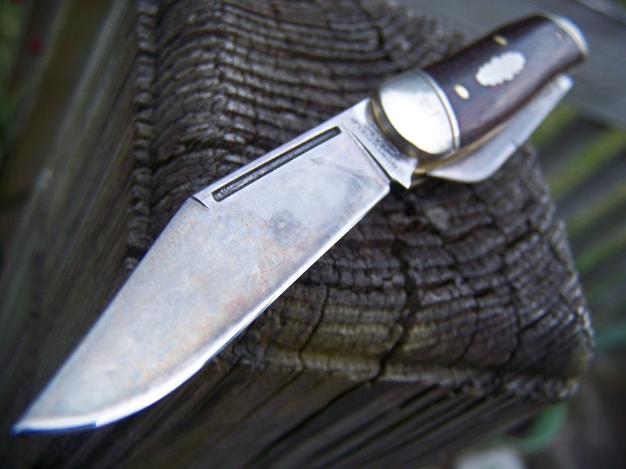 GEC66_Moose_coco_05.jpg