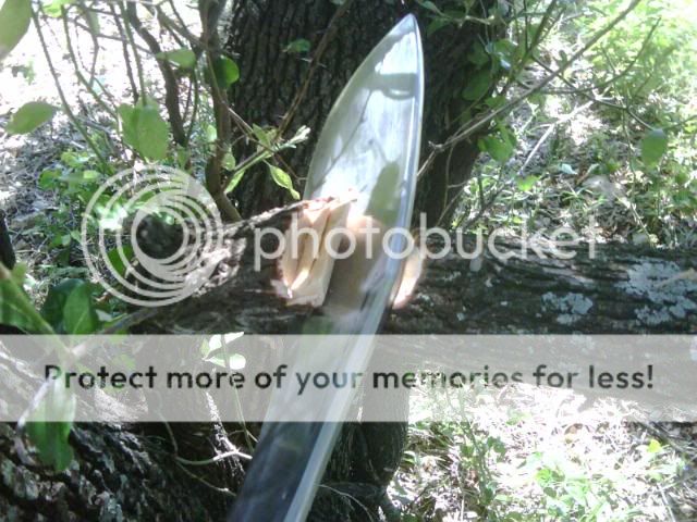 IMG00268.jpg