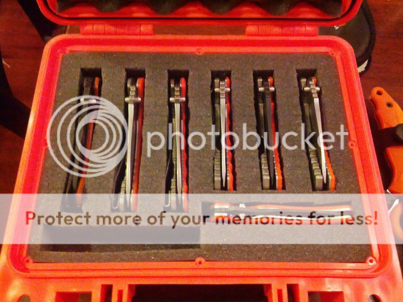 CameraZOOM-20130107195534330.jpg