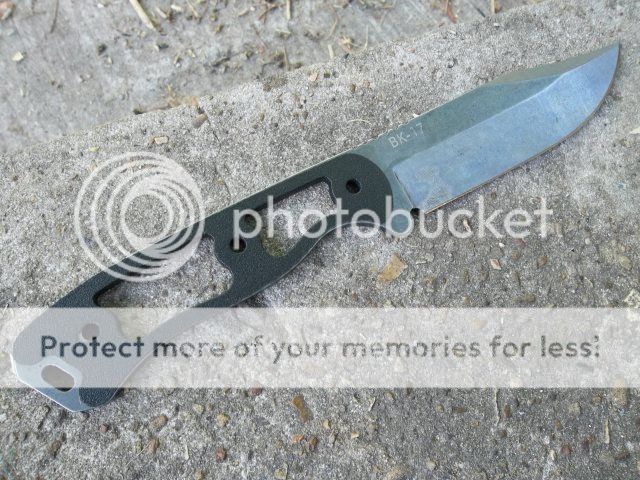 100_2872.jpg