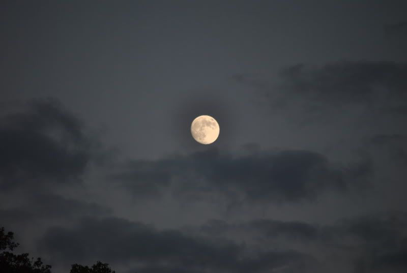 DSC_8512.jpg