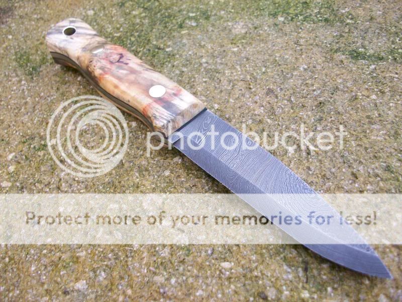 Blades006-1.jpg