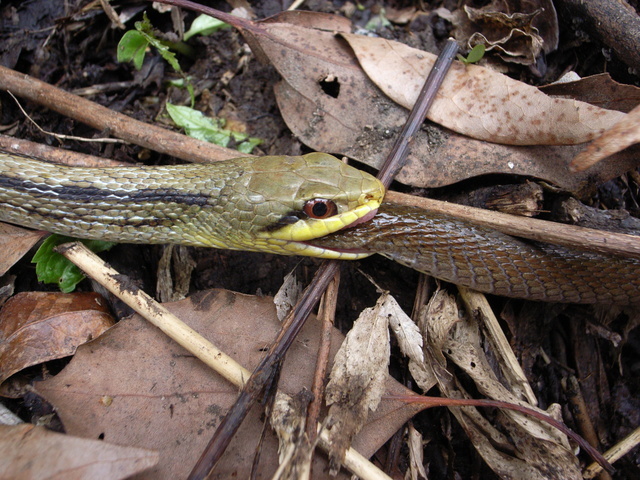 2011.05.15.R0023924.JPG
