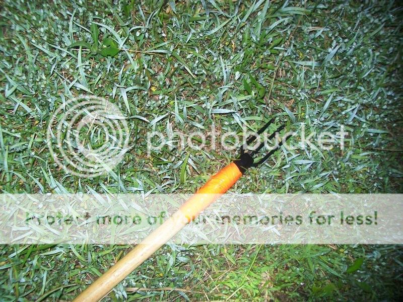 Picture101.jpg