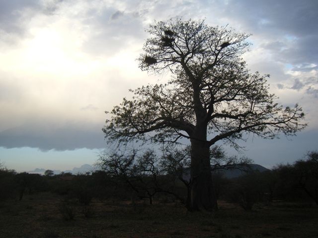 DSCF2415.jpg