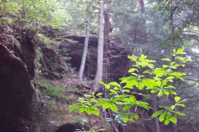 100_2850.jpg