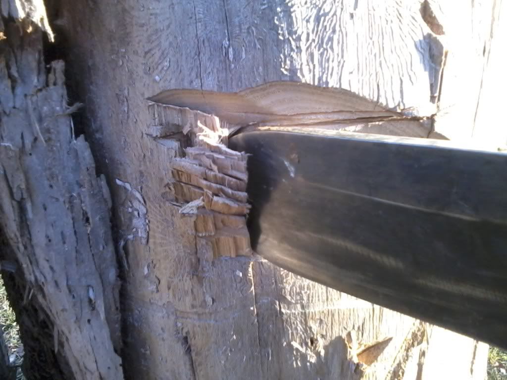 120218_004.jpg