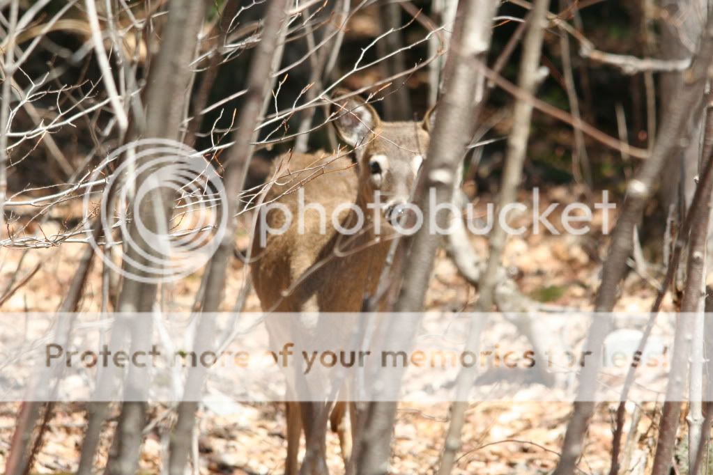 IMG_9990.jpg