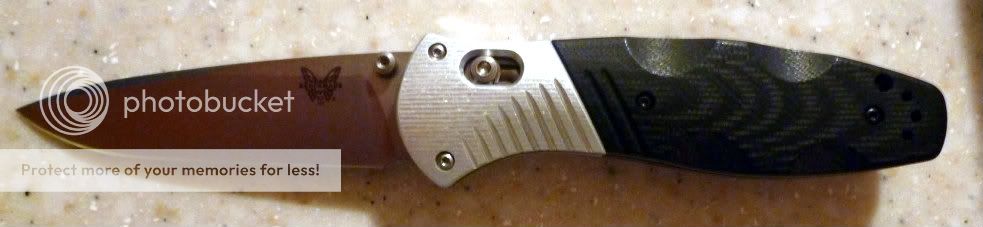 P1000810.jpg