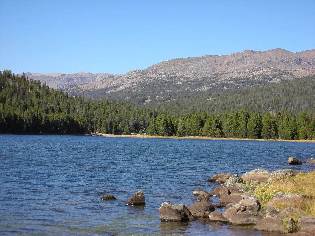 DSCN0484.jpg