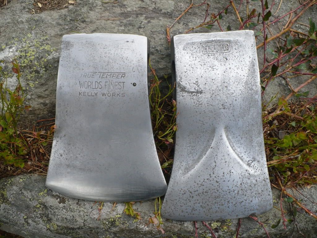 P1020178.jpg