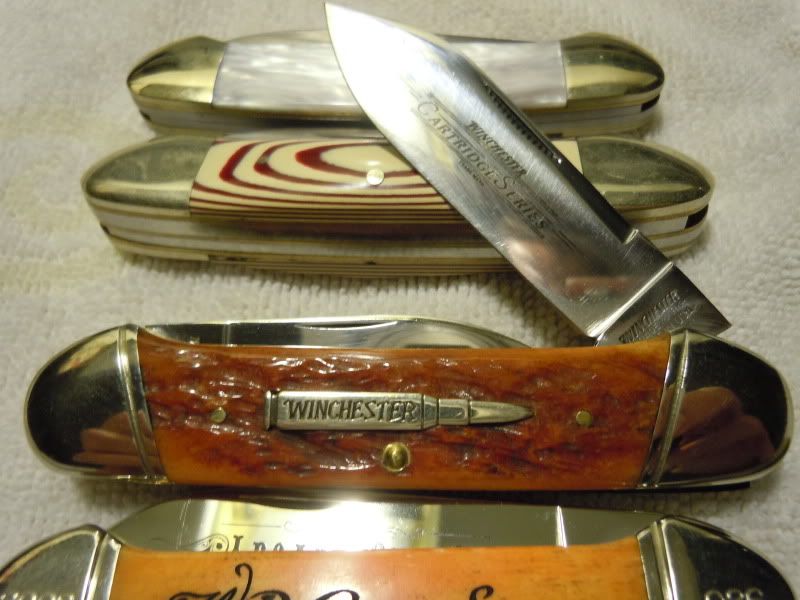 DSCN7963.jpg