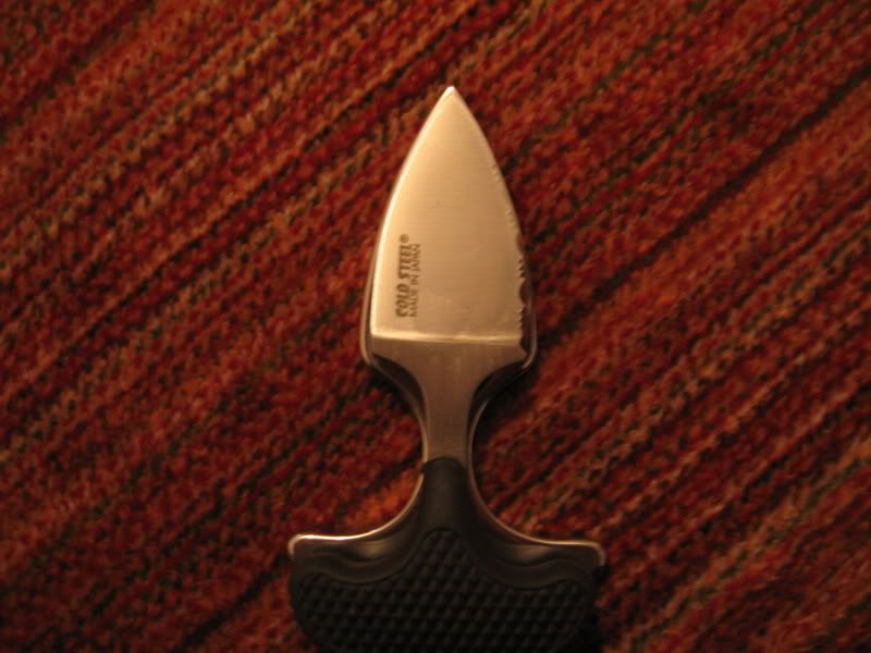 IMG_2457_resize.jpg
