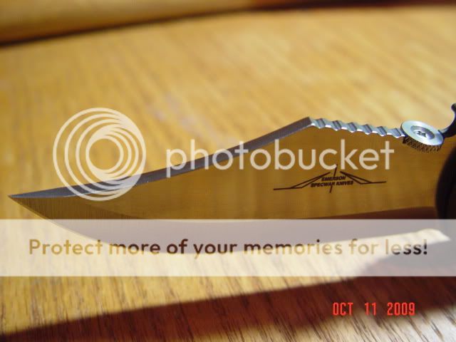 DSC00308.jpg
