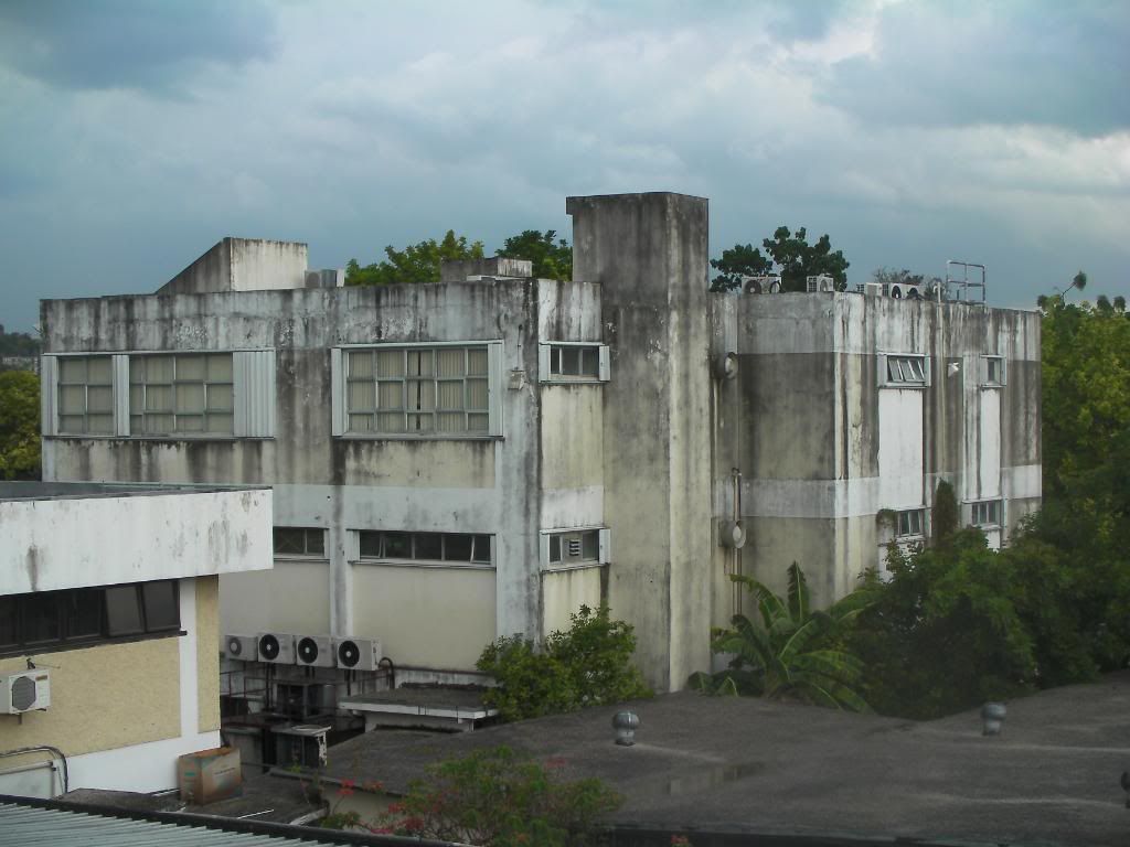SANY0012.jpg