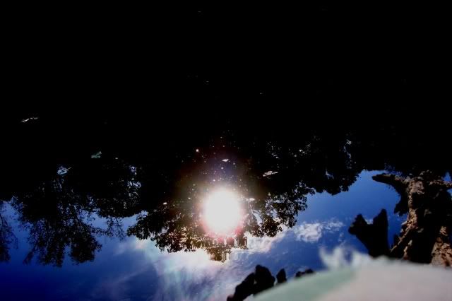 100_3077_0001.jpg
