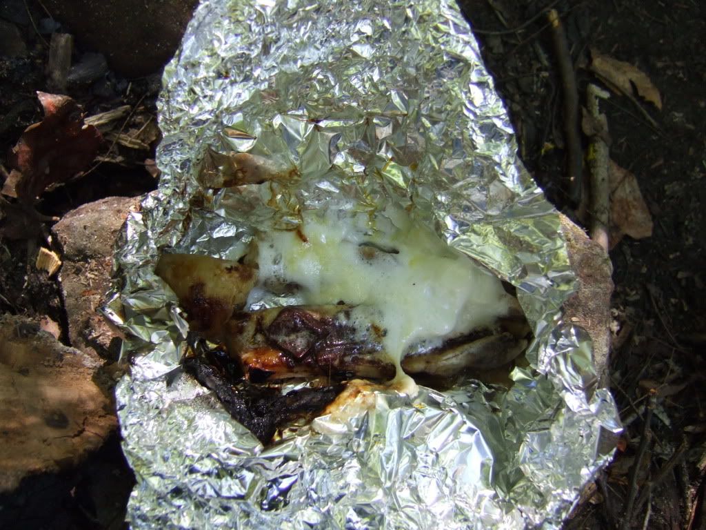 2010_09060105.jpg