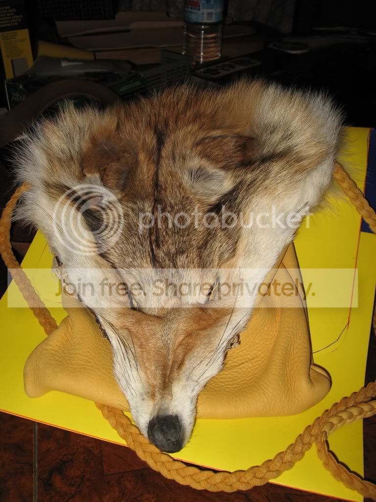 coyotebag1.jpg