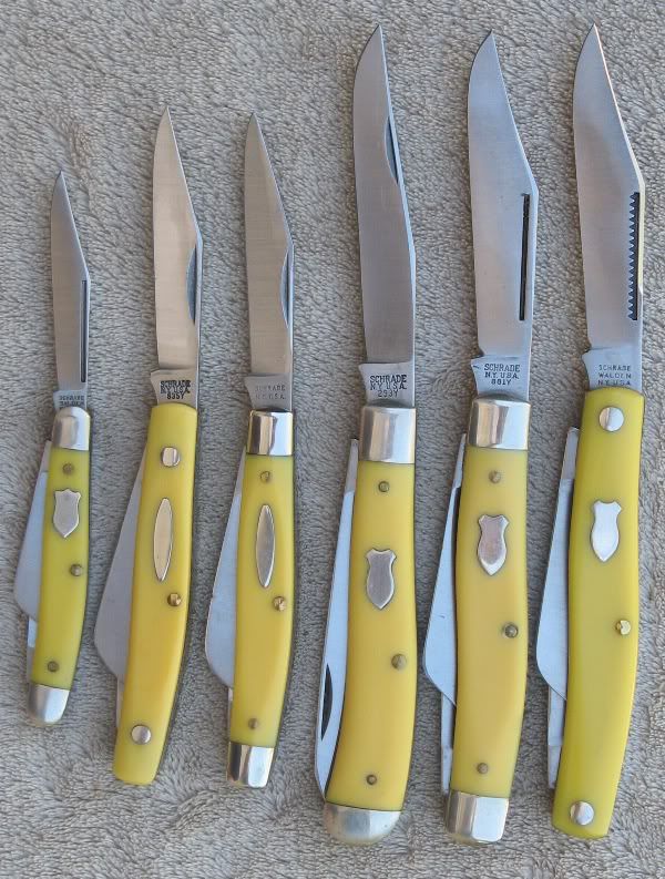 yellowschrades-3.jpg