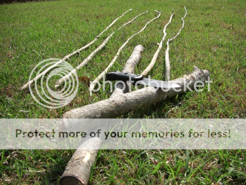 CIMG2866.jpg