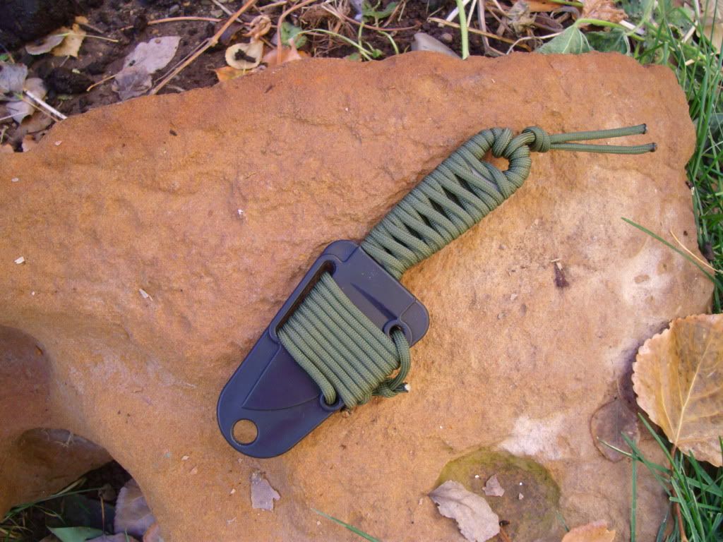 010.jpg