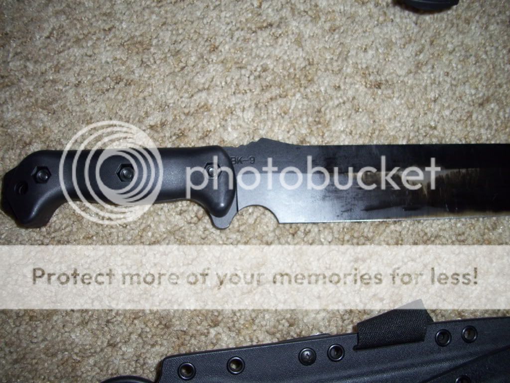 100_1137.jpg