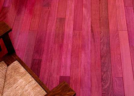 purpleheart_PHOTO.jpg