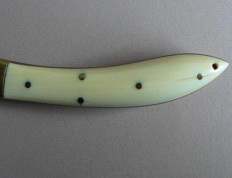 Ivoryhandlematerial001.jpg
